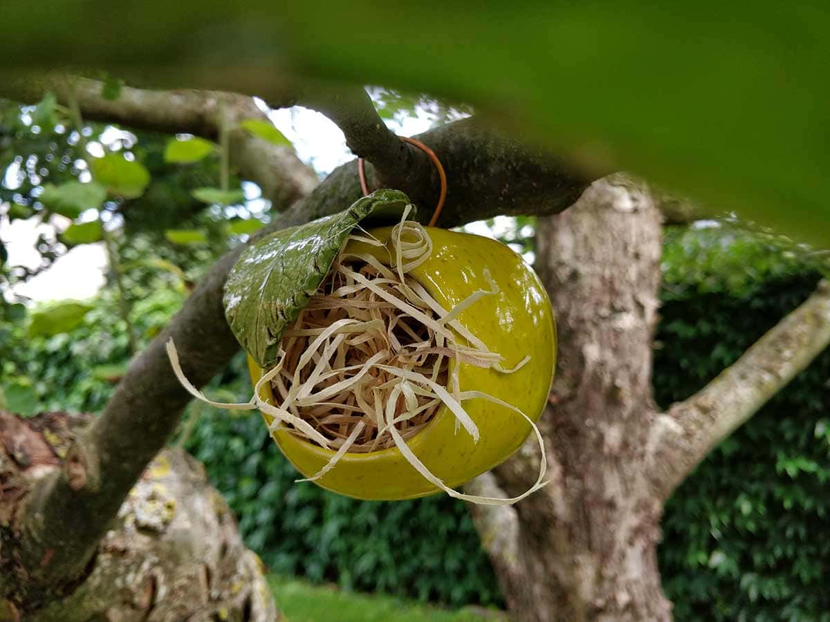 Gelber Apfel aus Keramik