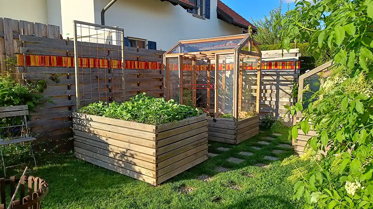 Hochbeet voller Radieschen