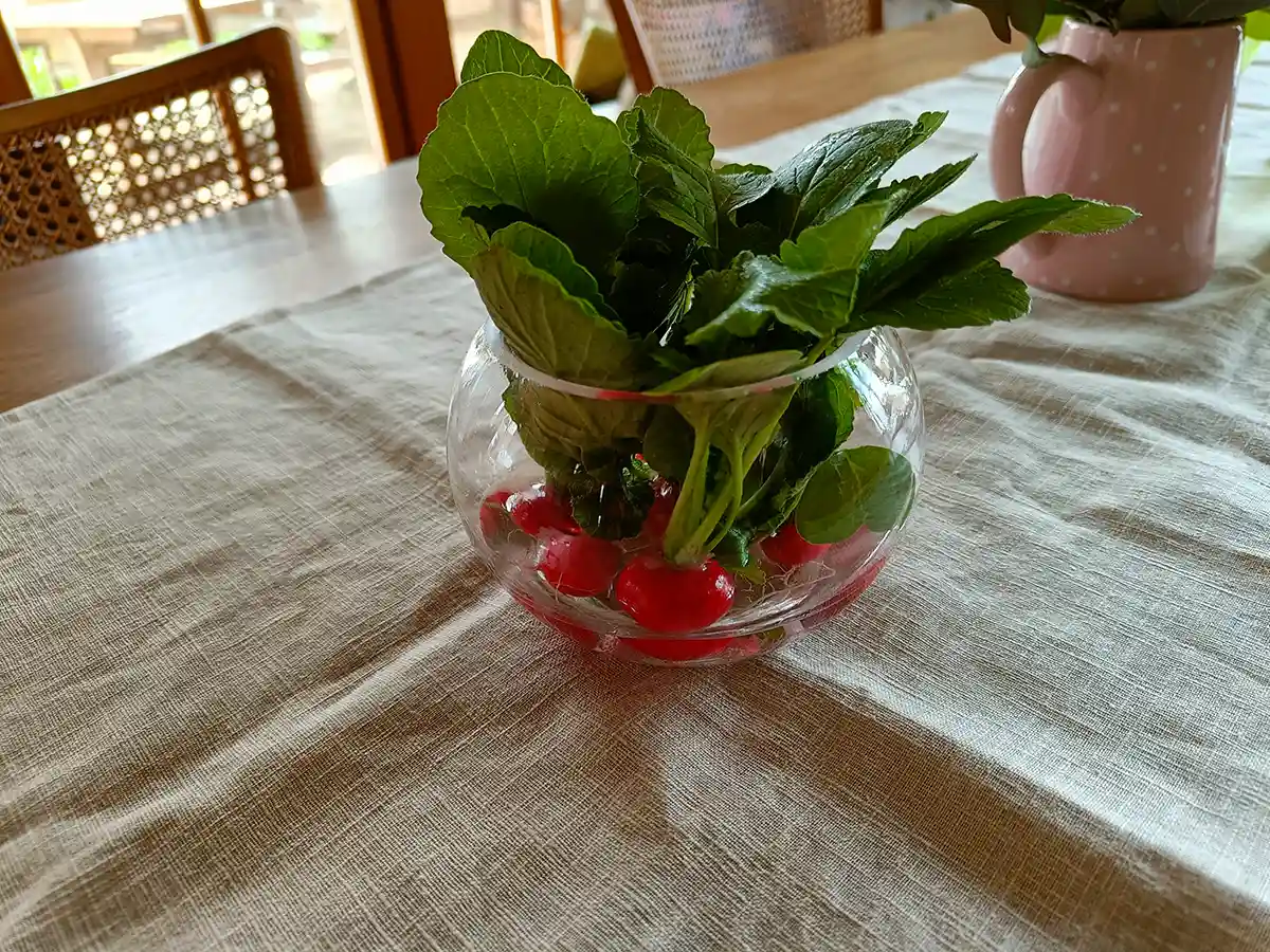 Radieschen im Glas