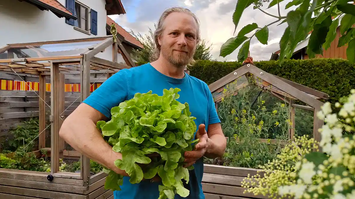 Salat aus dem Hochbeet