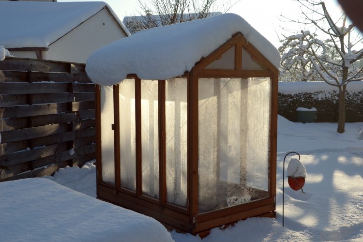 Tomatenhaus mit Schnee