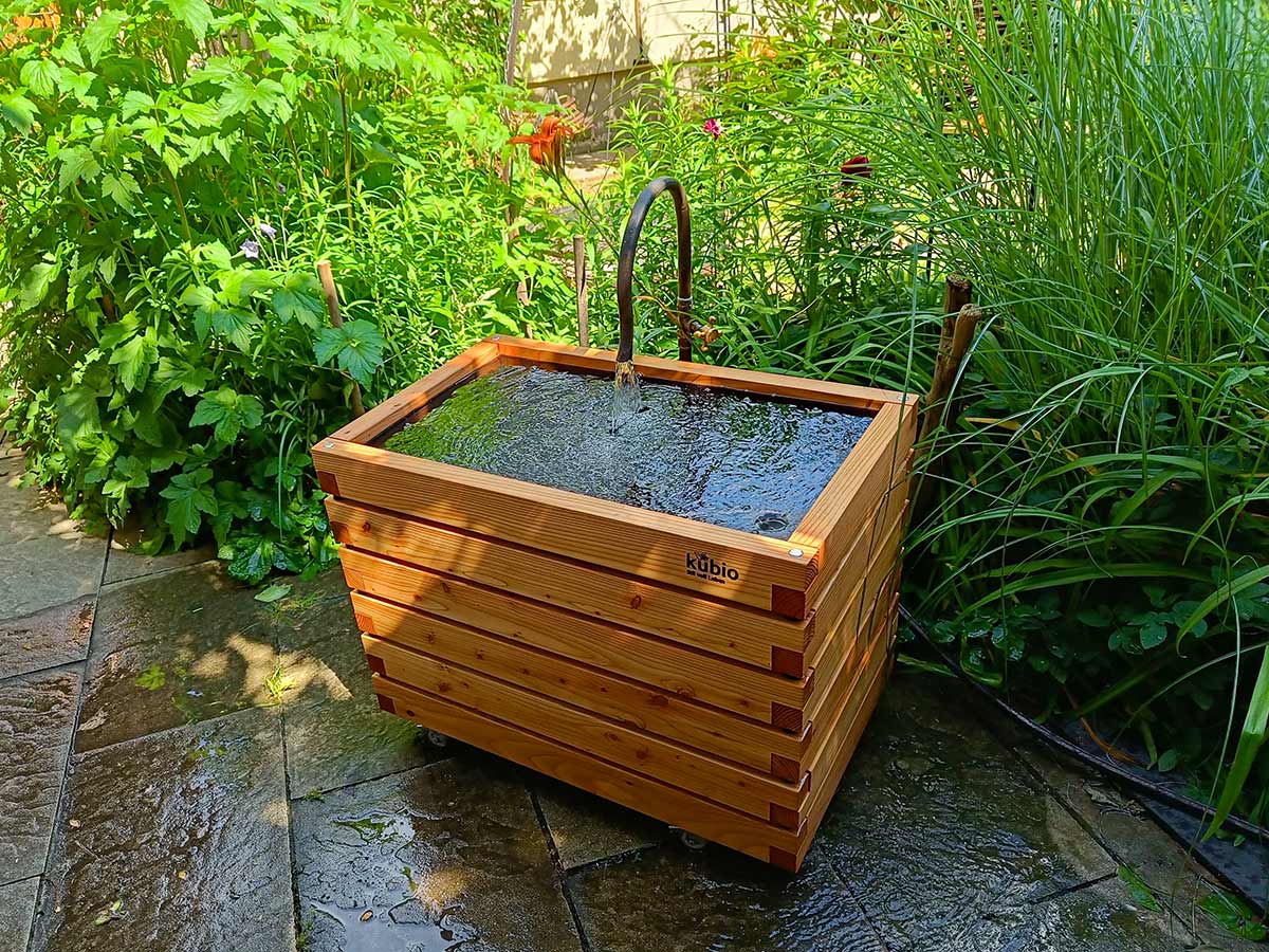 Teichbecken Kubio Gartenfrosch