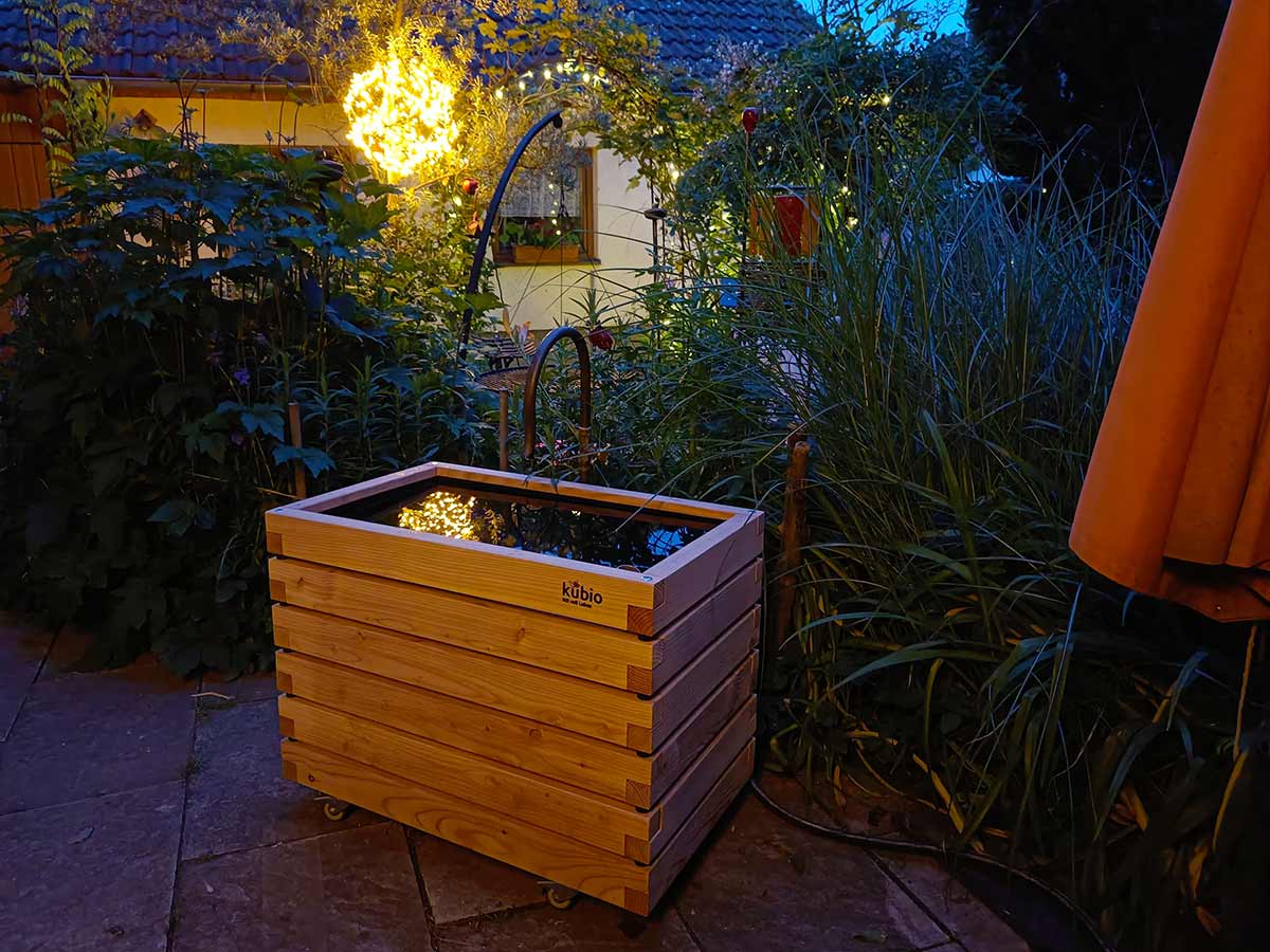 Teichbecken abends Kubio Gartenfrosch