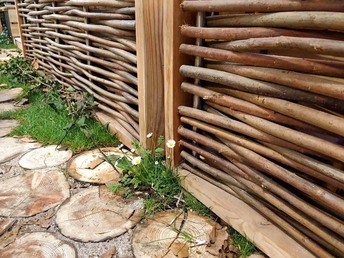 Detail Weidengeflecht