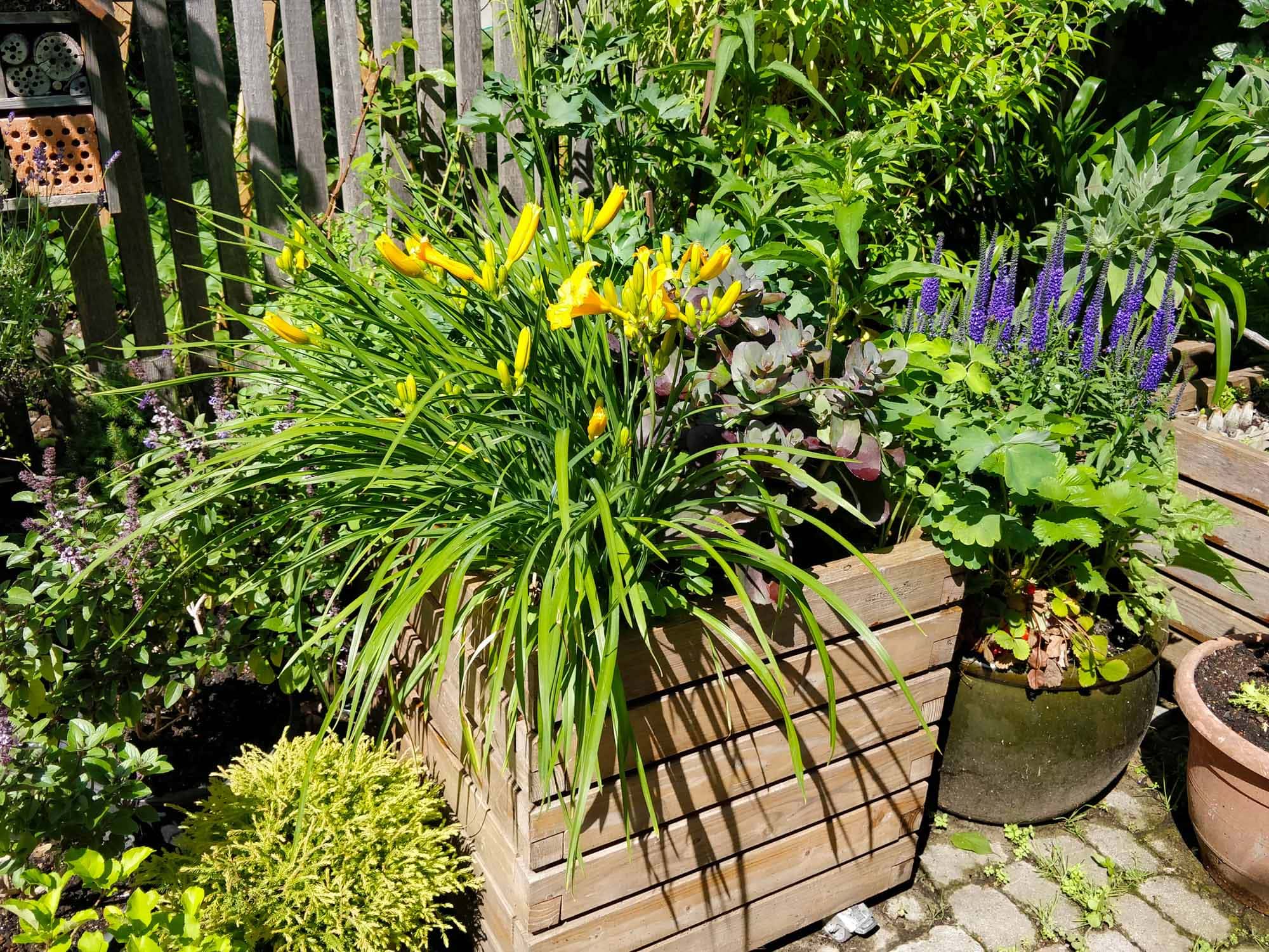 Pflanzkasten mit Dauerbepflanzung