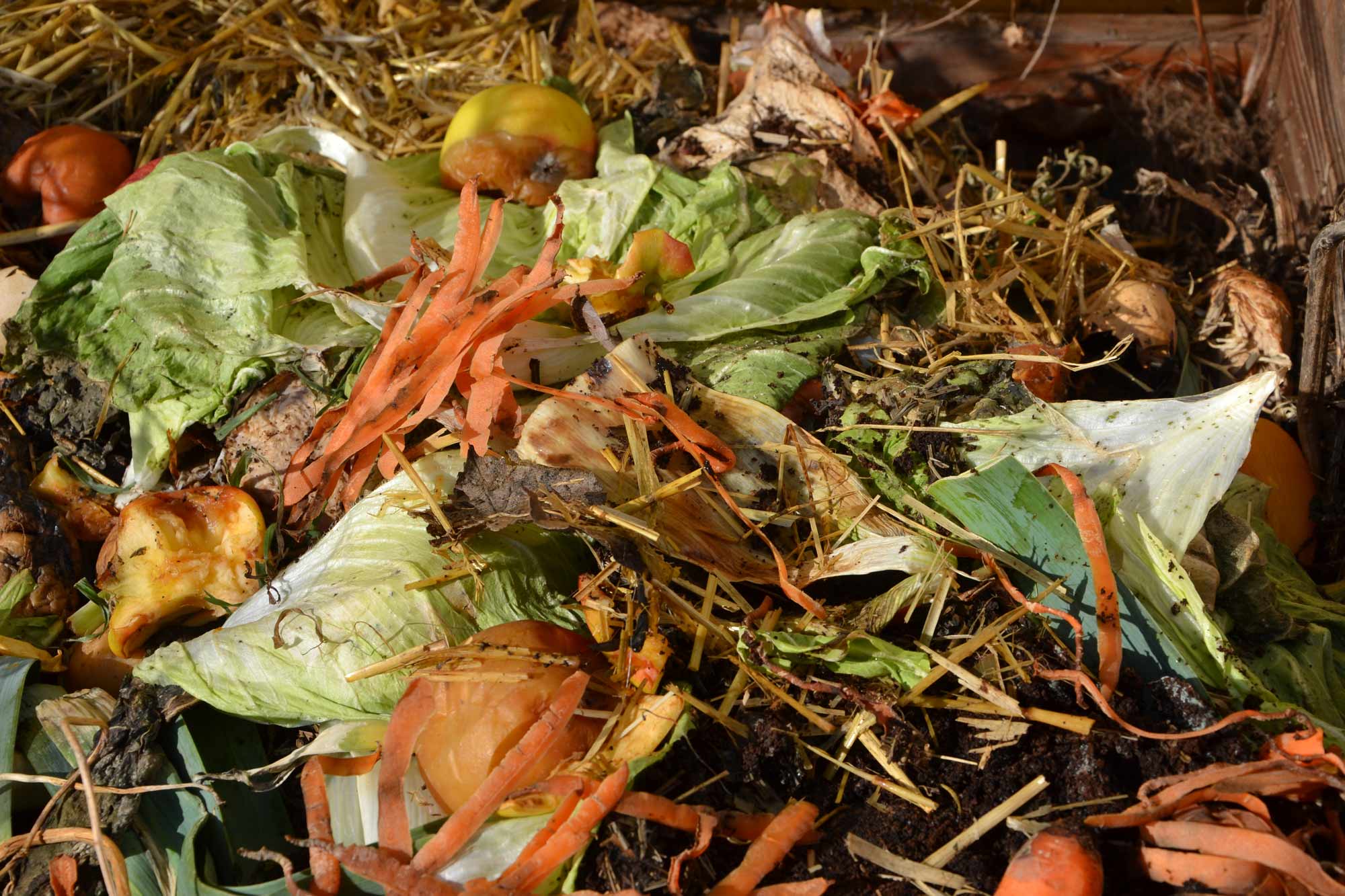 Komposthaufen mit frischen Gemüseresten