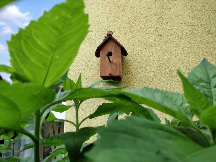 Vogelhaus Nistkasten mit Dachziegel