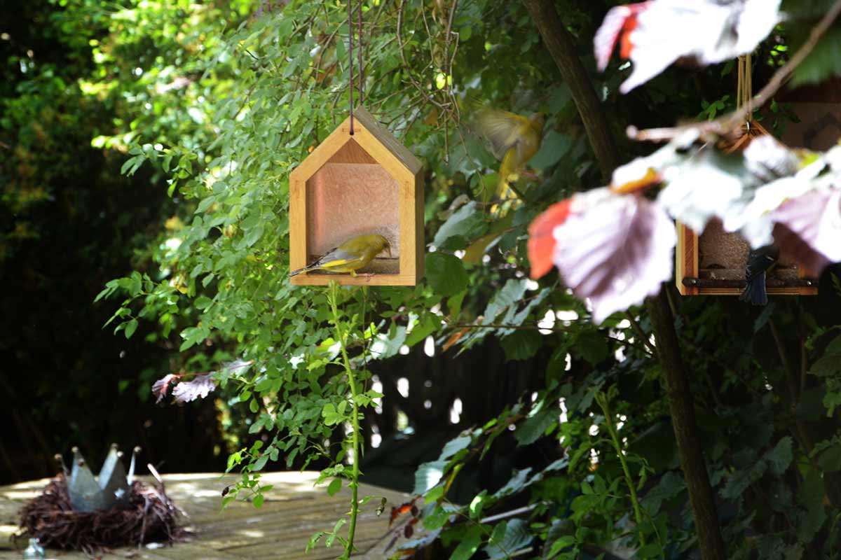 Vogelhaus aus Eiche mit Grünfink