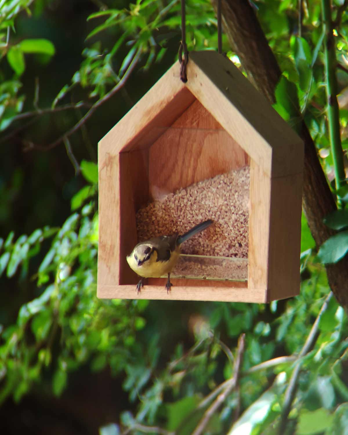 Vogelfutterhaus mit Meise