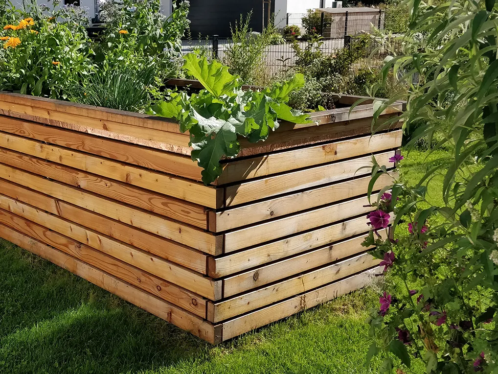 Hochbeet aus Lärchenholz mit üppiger Bepflanzung