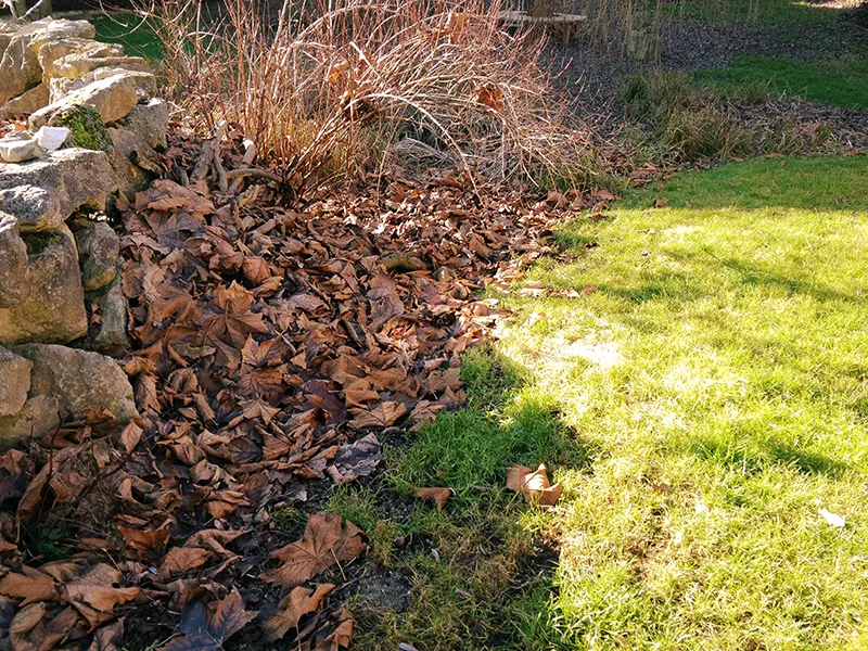 Laub sammelt sich am Rand einer Mauer